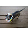 Puppy Bumpers Tossed Donuts Keep Dogs on The Safe Side of The Fence (10-13")