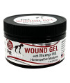 PetSilver Wound Gel with Complex AG21 & Hemp Oil | Chelated Silver 200 ppm | Dog & Cats | Wounds | Hot Spots | Itch | Skin Irritations | Burns | Rashes | Sores | Homeopathic Relief | 4oz