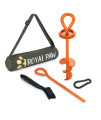 ROYAL PAW Dog Tie Out Stake 