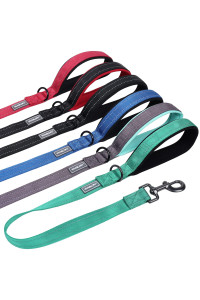 Vivaglory Short Dog Leash With Padded Handle, Double Webbing Nylon Reflective Pet Leashes For Training & Walking, Dog Lead For Medium & Large Dogs, Green