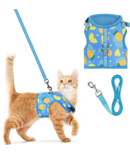 Pupteck Soft Mesh Cat Vest Harness And Leash Set Puppy Padded Pet Harnesses Escape Proof For Cats Small Dogs Rabbits Bunny