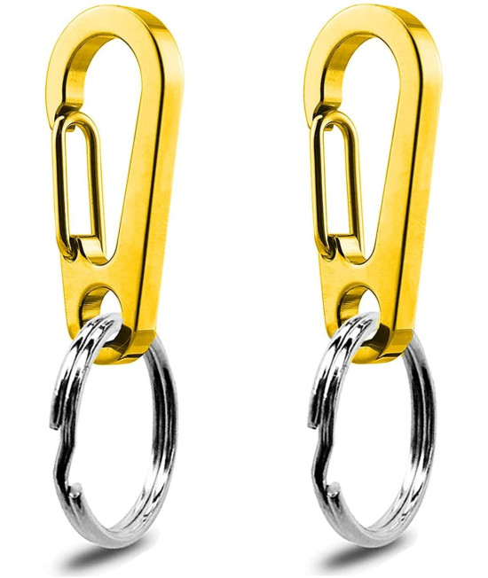 Ivia Dog Tag Clips 2 Packmultiple Size 304 Stainless Steel Quick Clip With Ringseasy Change Dog Cat Id Tag Holder For Small Pet Collars And Harnesses(2 Large Gold)