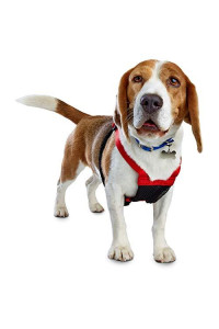 Petco Brand - EveryYay Embrace The Pace Red No Pull Dog Harness, Small