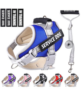 Dogmify Service Dog Vest,No Pull In Training Service Dog Harness And 5Ft Dog Leash Set, Adjustable 3M Reflective Nylon Pet Dog Vest With Handle,Easy Control For Small Medium Large Dogs(Xs,Blue)