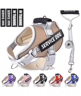 Dogmify Service Dog Vest,No Pull In Training Service Dog Harness And 5Ft Dog Leash Set, Adjustable 3M Reflective Nylon Pet Dog Vest With Handle,Easy Control For Small Medium Large Dogs(S,Khaki)