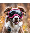Rex Specs V2 Dog Goggles (Medium, Yazberry)