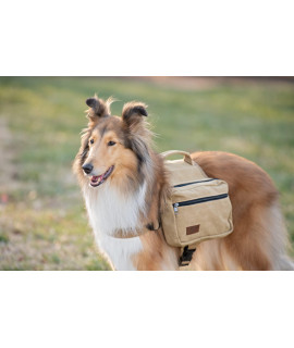 BoxDog Matching Dog Backpack and Human Backpack | Travel Camping Hiking Canvas and Leather Dog Saddlebag | Dog Park Backpack