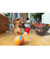 Metal Indestructible Dog Toy Bin - Storage Bin with Handles, Farmhouse Organizer Storage Basket for Pet Toys, Blankets, Leashes - Pawprint Design Home Decor (Lead-Free Copper)