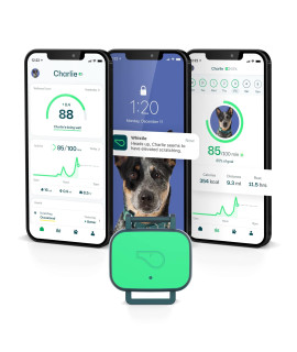 Whistle Health Smart Device | Dog Health and Fitness Tracker | Track Scratching, Licking, Drinking, Eating, Sleeping, and Activity, Green