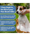 Benny's Best Skunk and Odor Removal Eliminator for Dogs, Cats, Pets - 3 kits - Perfect for new pet owner gift