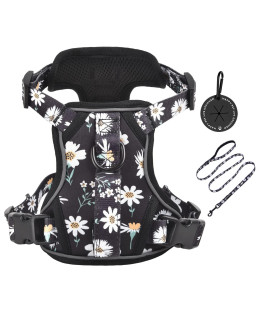 Petmolico Dog Harness For Small Dogs No Pull, Cute Dog Harness With Two Leash Clips And Soft Handle, Reflective Easy Walk Dog Harness With Leash, Black Daisy Small