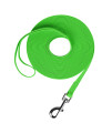 Waterproof Long Leash Durable Dog Recall Training Lead Great for Outdoor Hiking, Training, Yard, Beach and Swimming (Green, 30ft)
