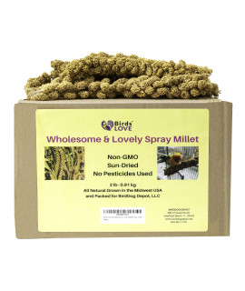 Birds LOVE Wholesome & Lovely Spray Millet Non-GMO for Birds Cockatiel Lovebird Parakeet Finch Canary All Parrots Healthy Treat - 2LBS