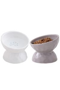 Ceramic Tilted Raised Cat Food and Water Bowl Set, Elevated Stress Free Feeding Pet Bowl Dish for Cats and Small Dogs, Protect Cat's Spine, White & Grey, Set of 2