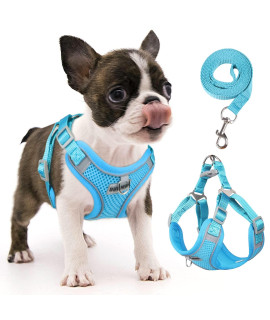 Rennaio Dog Harness No Pull, Adjustable Puppy Harness With 2 Leash Clips, Ultra Breathable Padded Dog Vest Harness, Reflective Dog Harness And Leash Set For Small And Medium Dogs (Cerulean, S)