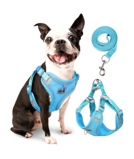 rennaio Dog Harness No Pull, Adjustable Puppy Harness with 2 Leash Clips, Ultra Breathable Padded Dog Vest Harness, Reflective Dog Harness and Leash Set for Small and Medium Dogs (Cerulean, M)