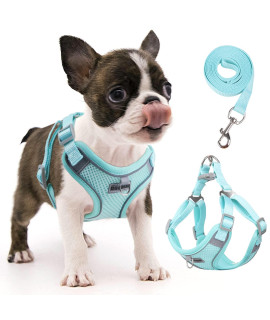 rennaio Dog Harness No Pull, Adjustable Puppy Harness with 2 Leash Clips, Ultra Breathable Padded Dog Vest Harness, Reflective Dog Harness and Leash Set for Small and Medium Dogs (Cyan, S)