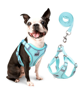 rennaio Dog Harness No Pull, Adjustable Puppy Harness with 2 Leash Clips, Ultra Breathable Padded Dog Vest Harness, Reflective Dog Harness and Leash Set for Small and Medium Dogs (Cyan, M)