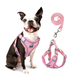 rennaio Dog Harness No Pull, Adjustable Puppy Harness with 2 Leash Clips, Ultra Breathable Padded Dog Vest Harness, Reflective Dog Harness and Leash Set for Small and Medium Dogs (Pink, M)