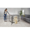Petco Brand - EveryYay Going Places 2-Door Folding Dog Crate, 49.1" L X 30.5" W X 32.6" H, XX-Large