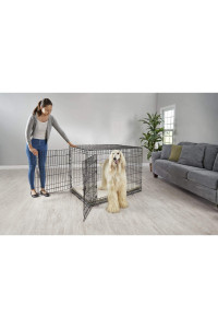 Petco Brand - EveryYay Going Places 2-Door Folding Dog Crate, 49.1" L X 30.5" W X 32.6" H, XX-Large