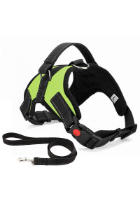 No Pull Dog Harness, Breathable Adjustable Comfort, Free Leash Included, For Small Medium Large Dog, Best For Training Walking Green S