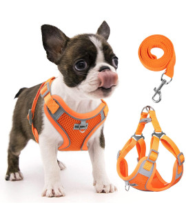 rennaio Dog Harness No Pull, Adjustable Puppy Harness with 2 Leash Clips, Ultra Breathable Padded Dog Vest Harness, Reflective Dog Harness and Leash Set for Small and Medium Dogs (Pumpkin, S)