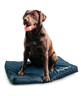 Highlander Tough Waterproof Dog Kennel Bed, Crate Mat, Memory and Orthopedic Foam (XL 34"x20"x2", Black)