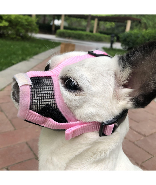 Moiilavin Small Dog Muzzle Xs For Grooming Barking Chewing, Barkless Soft Mesh Muzzles To Prevent Eating Poop Things,Best For Aggressive Dogs (Crystal Pink)