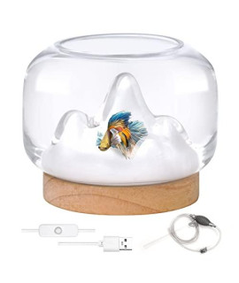Small Betta Fish Tank, Glass Aquarium with Color-Changing LED Night Light and Cleaning Accessories, 1/4 Gallon Fish Bowl Starter Kit for Beta Goldfish as Desktop Decoration for Office Home Room Decor