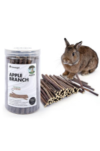 Niteangel Apple Sticks Natural Chew Toys For Rabbits, Chinchilla, Guinea Pigs, Hamsters And Other Small Animals (Apple Twig)