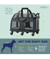 Katziela Pet Carrier - Airline Approved Dog Carrier - TSA Approved Pet Carrier for Small Dogs and Cats - Soft FAA Travel Airplane Dog Carrier Luggage (Black/Blue)