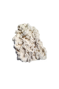Key West Coral White Coral Aquarium Adornment - Extra Small to Large (4 lbs. 6