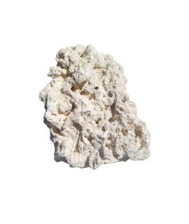 Key West Coral White Coral Aquarium Adornment - Extra Small to Large (4 lbs. 6