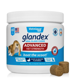 Glandex Anal Gland Soft Chew Treats with Pumpkin for Dogs Digestive Enzymes, Probiotics Fiber Supplement for Dogs Boot The Scoot (Advanced Strength Duck/Bacon Chews (Vegetarian), 60ct)