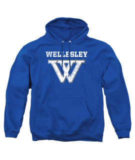 Wellesley College Official Distressed Primary Logo Unisex Adult Pull-Over Hoodie,Wellesley College, 2X-Large