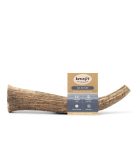 Benefit Pet Products Elk Antlers for Dogs, Grade A Whole Antler, Naturally Shed, Long Lasting Dog Chew, Odor Free, Premium Elk Antler Dog Bone, Hand Collected in The USA (X-Large)