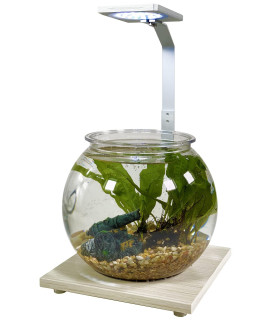 PENN-PLAX Eco-Sphere Fishbowl and LED Light Kit - Use as a Fish Tank, Planter for Houseplants, or Terrarium for Succulents - 1.1 Gallon