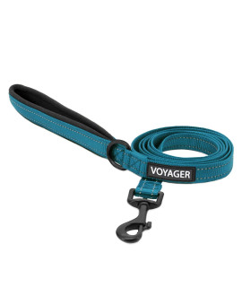 Voyager Reflective Dog Leash with Neoprene Handle, 5ft Long, Supports Small, Medium, and Large Breed Puppies, Cute and Heavy Duty for Walking, Running, and Training - Turquoise (Leash), S