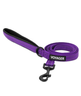 Voyager Reflective Dog Leash with Neoprene Handle, 5ft Long, Supports Small, Medium, and Large Breed Puppies, Cute and Heavy Duty for Walking, Running, and Training - Purple (Leash), M