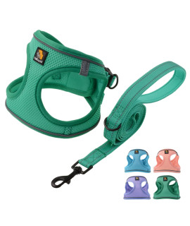 Bella Pal Step In Vest Harness For Small And Medium Dogs, No Pull Small Dog Harness With Leash Set, Comfortable Air Mesh Dog Vest Harness With Reflective Strip, Green, M