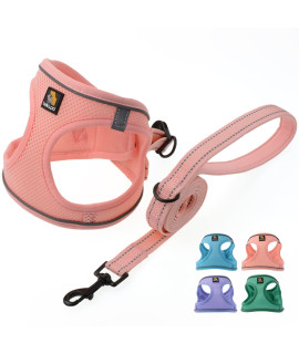 Bella Pal Dog Harness With Leash Set, Step In Vest Harness For Small And Medium Dogs, No Pull Harness For Puppy Dogs Medium Dogs, Air Mesh Dog Vest Harness, Pink, Xs