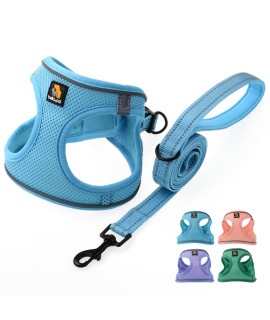 Bella Pal Small Dog Harness And Leash Set, Adjustable Reflective Step In Harness For Dogs Walking, Puppy Dog Vest Harness For Small Medium Dogs, No Pull Dog Harness, Blue, M