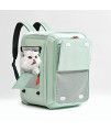 Cat Carrier Backpack, Foldable Pet Backpack Carrier for Large/Small Cats and Dogs, Ventilated Design, Comfort Pet Backpack with Padded Strap, Lightweight for Travel, Hiking, Outdoor Use (Light Green)