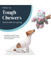 Flourish FBA Pets Dog Chew Toy with Non-Toxic BPA, Double Stitched Soft Fabric Exterior Squeaky Indestructible Dog Toy for Aggressive Chewers (Small, Multi Color)