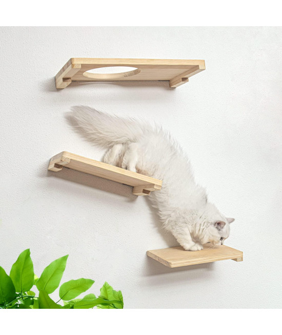 Cat Activity Wall Shelves - Cat Hammock Wall Mounted Cats Shelf for Climbing Sleeping Playing Lounging Perching Cat Furniture