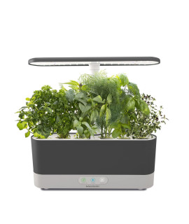 Aerogarden Harvest Slim With Gourmet Herb Seed Pod Kit - Hydroponic Indoor Garden, Black