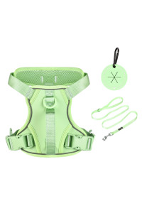 Petmolico Dog Harness For Small Dogs No Pull, Cute Dog Harness With Two Leash Clips And Soft Handle, Reflective Easy Walk Dog Harness With Leash, Mint Green Small