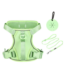 Petmolico Dog Harness For Small Dogs No Pull, Cute Dog Harness With Two Leash Clips And Soft Handle, Reflective Easy Walk Dog Harness With Leash, Mint Green Small