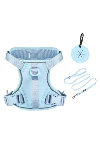 Petmolico Dog Harness For Small Dogs No Pull, Cute Dog Harness With Two Leash Clips And Soft Handle, Reflective Easy Walk Dog Harness With Leash, Light Blue Small